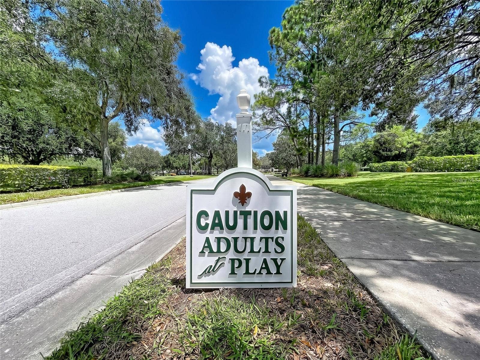 12116 BROADGREEN PLACE, Trinity, FL 34655 Theme for Heritage Springs