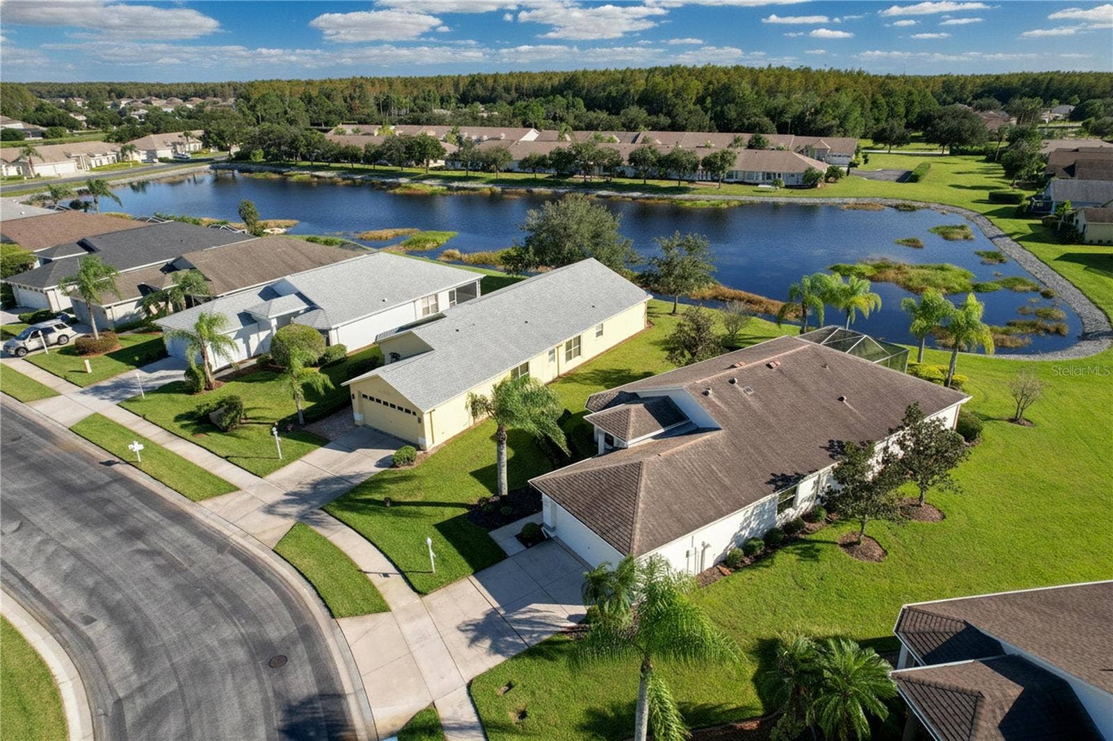 12116 BROADGREEN PLACE, Trinity, FL 34655 Village pond for a few residents