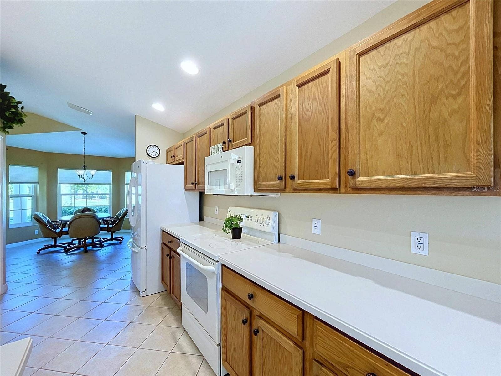 12116 BROADGREEN PLACE, Trinity, FL 34655 Pantry is beside the refrigerator