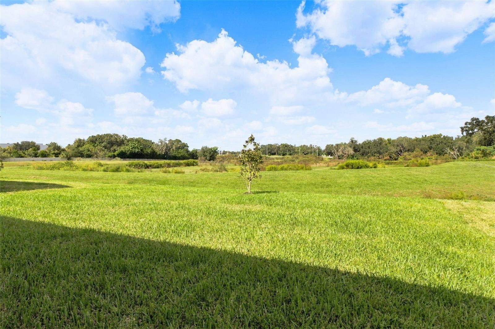 11226 SYCAMORE GLEN LOOP, Thonotosassa, FL 33592 11226 SYCAMORE GLEN LOOP, Thonotosassa, FL 33592