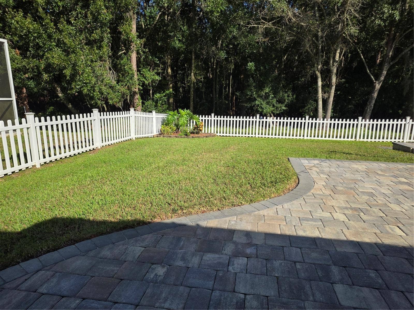 7711 ARELLI DRIVE, New Port Richey, FL 34655 Forever conservation view in back yard