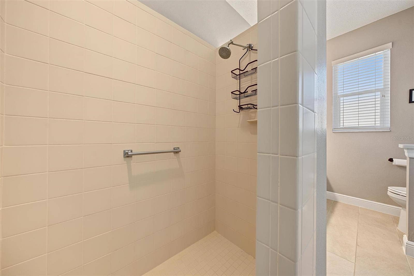 1929 WESTERHAM LOOP, Trinity, FL 34655 Walk-in shower