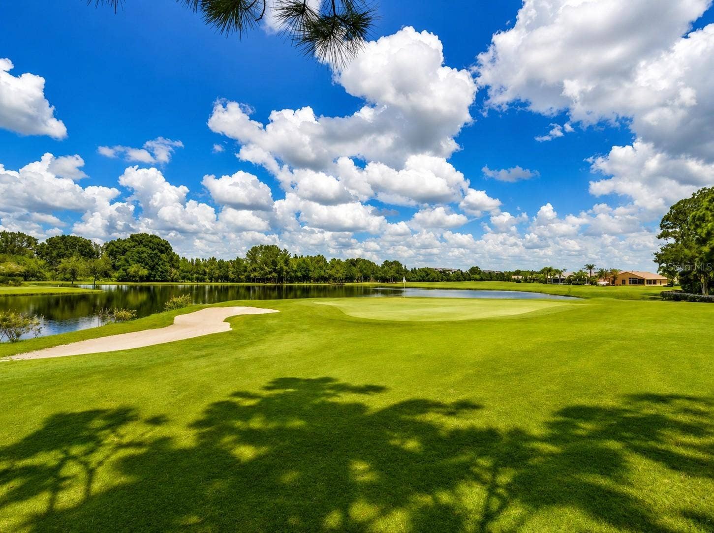 1929 WESTERHAM LOOP, Trinity, FL 34655 1929 WESTERHAM LOOP, Trinity, FL 34655