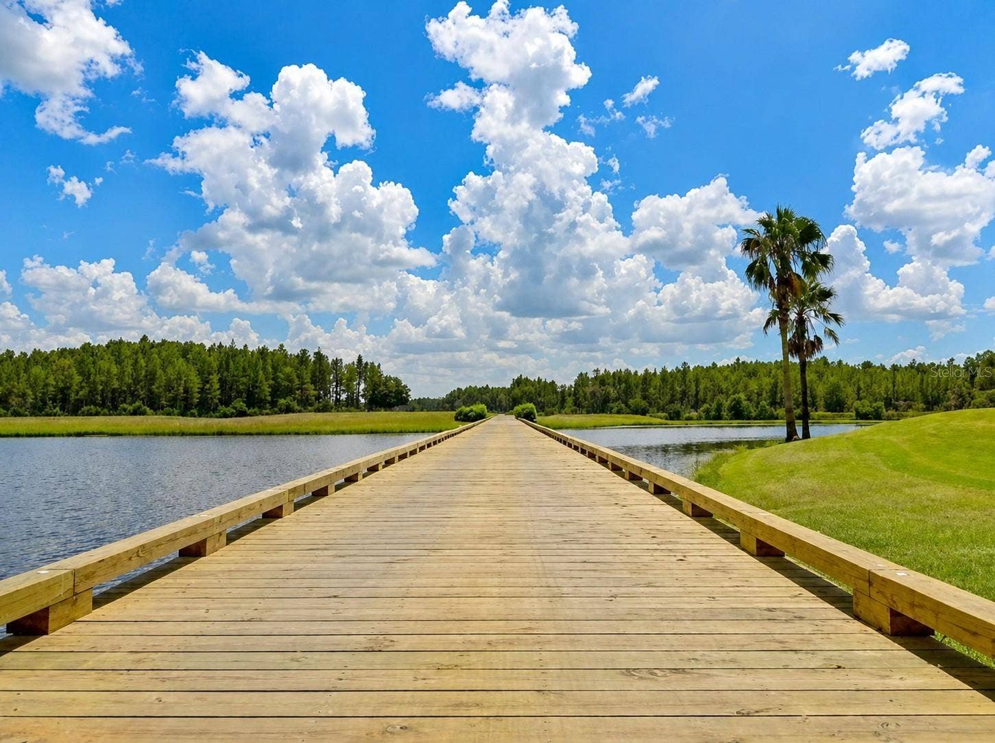 1929 WESTERHAM LOOP, Trinity, FL 34655 1929 WESTERHAM LOOP, Trinity, FL 34655