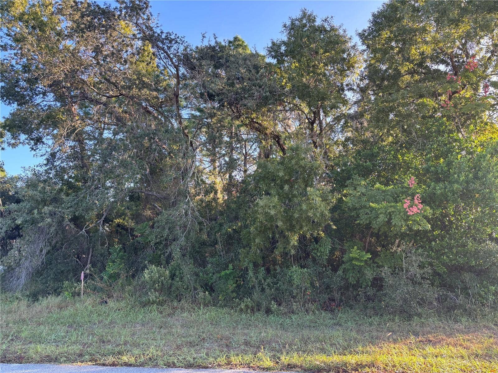 Lot 1 MAYFLOWER ROAD, Spring Hill, FL 34608 Beautiful Corner Lot
