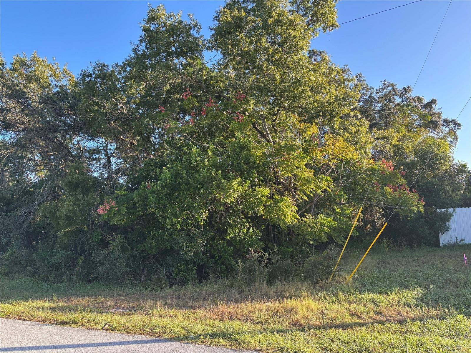 Lot 1 MAYFLOWER ROAD, Spring Hill, FL 34608 Beautiful Corner Lot