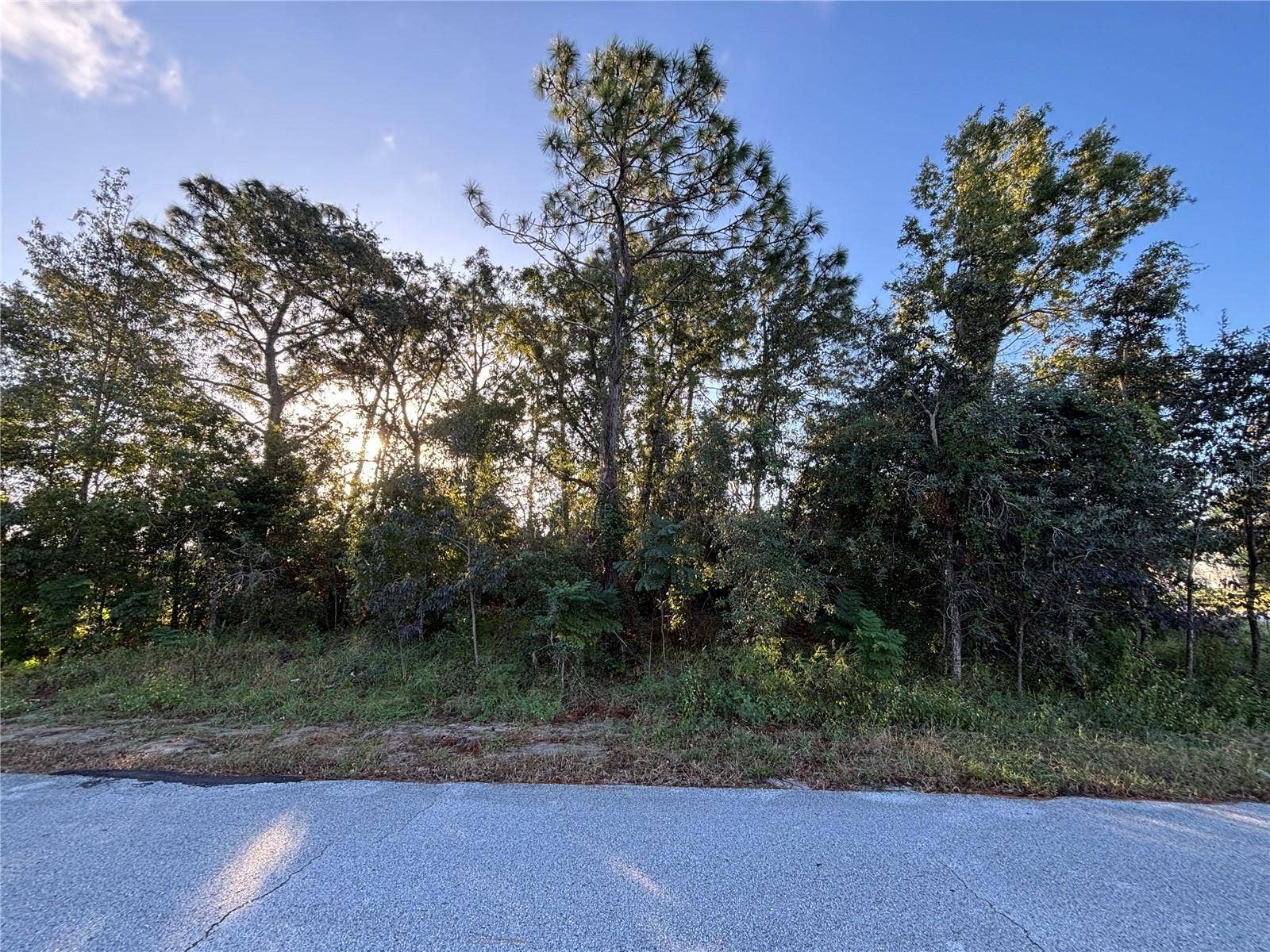 Lot 1 MAYFLOWER ROAD, Spring Hill, FL 34608 Beautiful Corner Lot