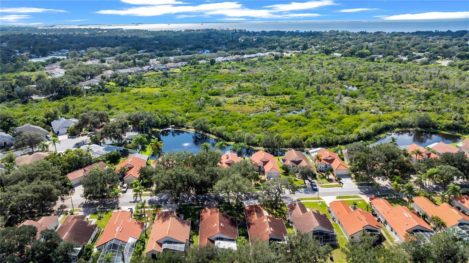 761 LIGHTHOUSE DRIVE, Tarpon Springs, FL 34689 761 LIGHTHOUSE DRIVE, Tarpon Springs, FL 34689