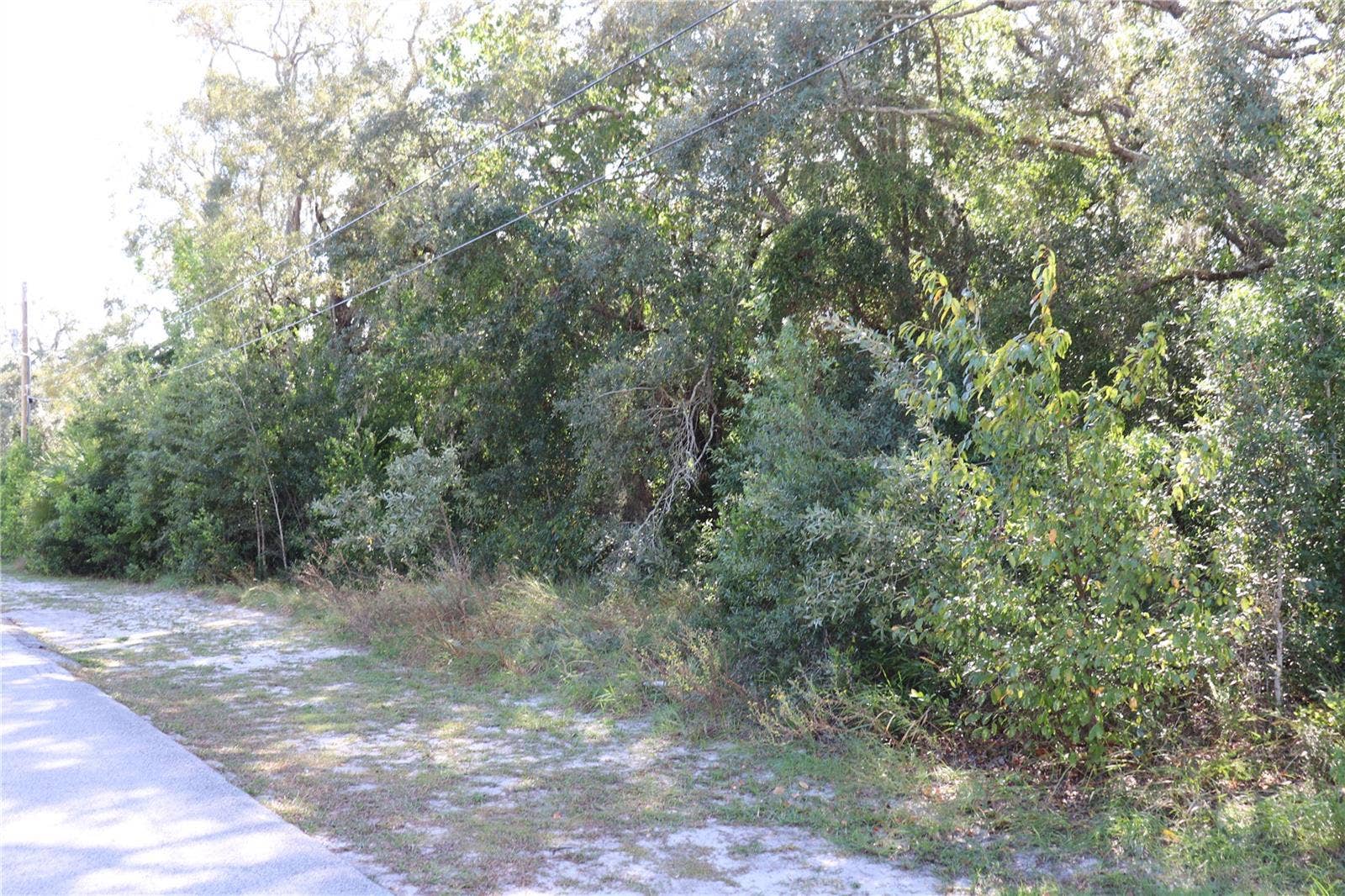 1221 SYLVIA AVENUE, Spring Hill, FL 34606 PROPERTY