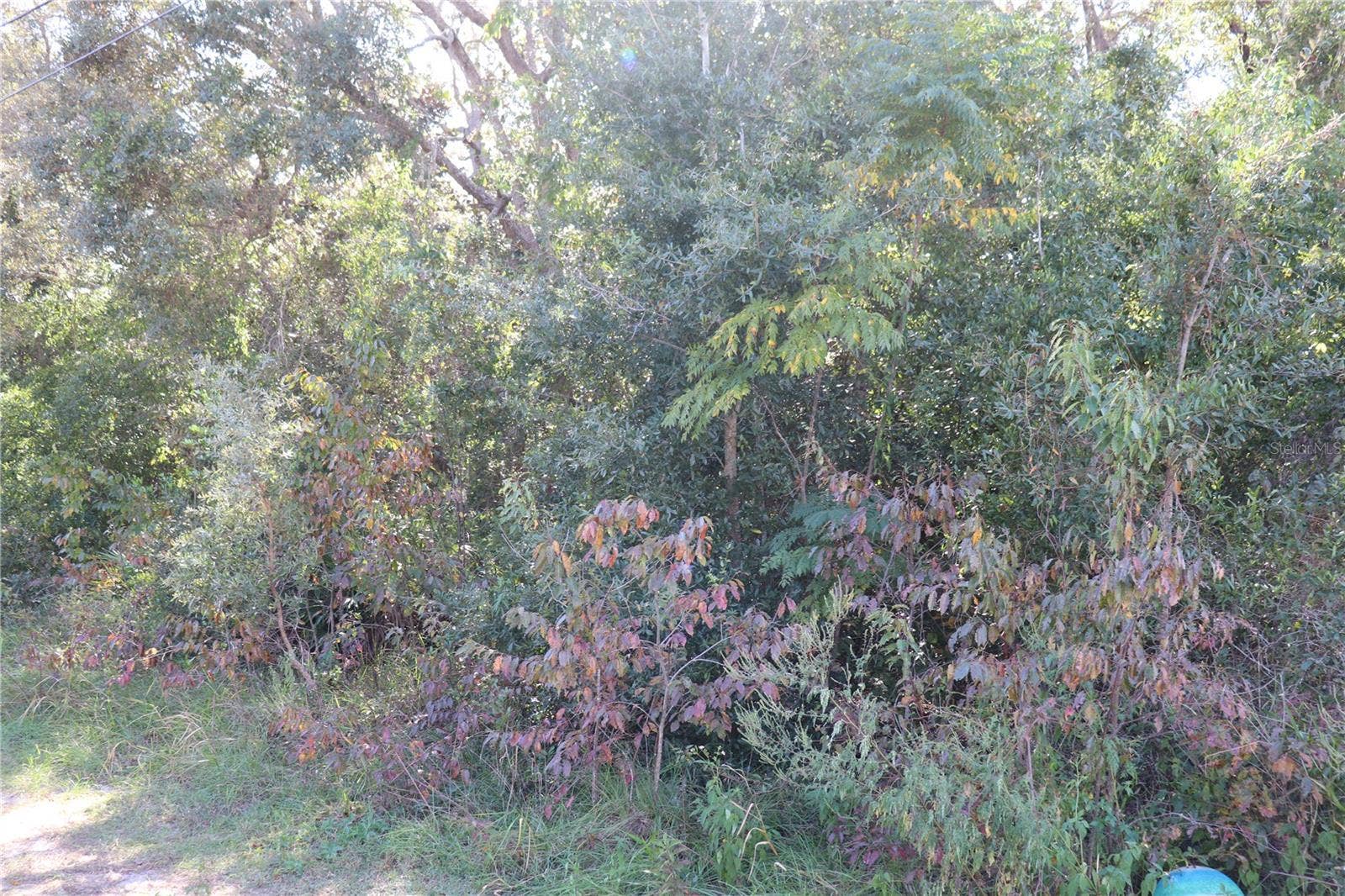1221 SYLVIA AVENUE, Spring Hill, FL 34606 PROPERTY