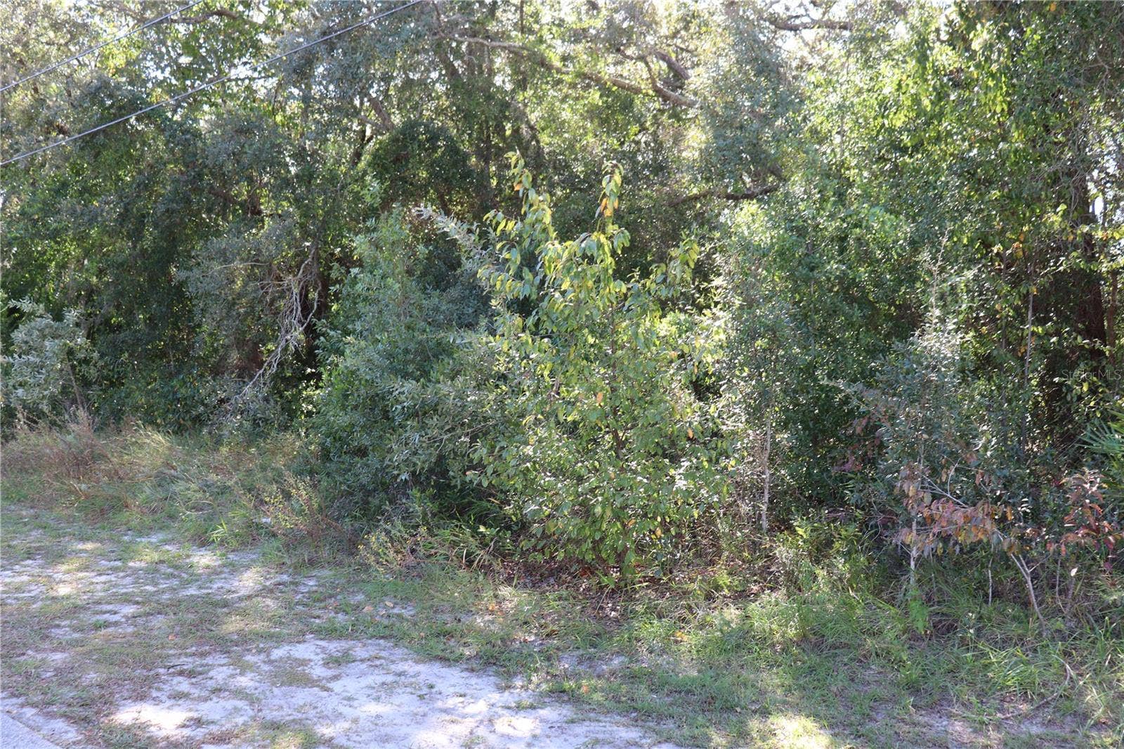 1221 SYLVIA AVENUE, Spring Hill, FL 34606 PROPERTY