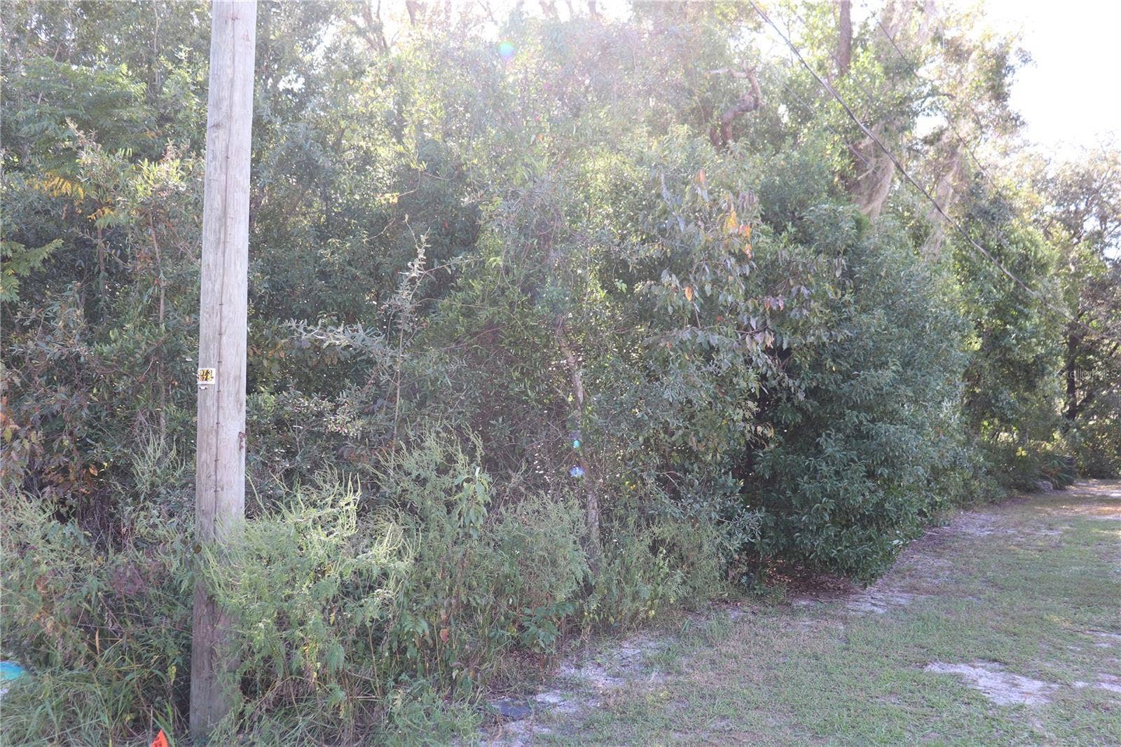 1221 SYLVIA AVENUE, Spring Hill, FL 34606 PROPERTY