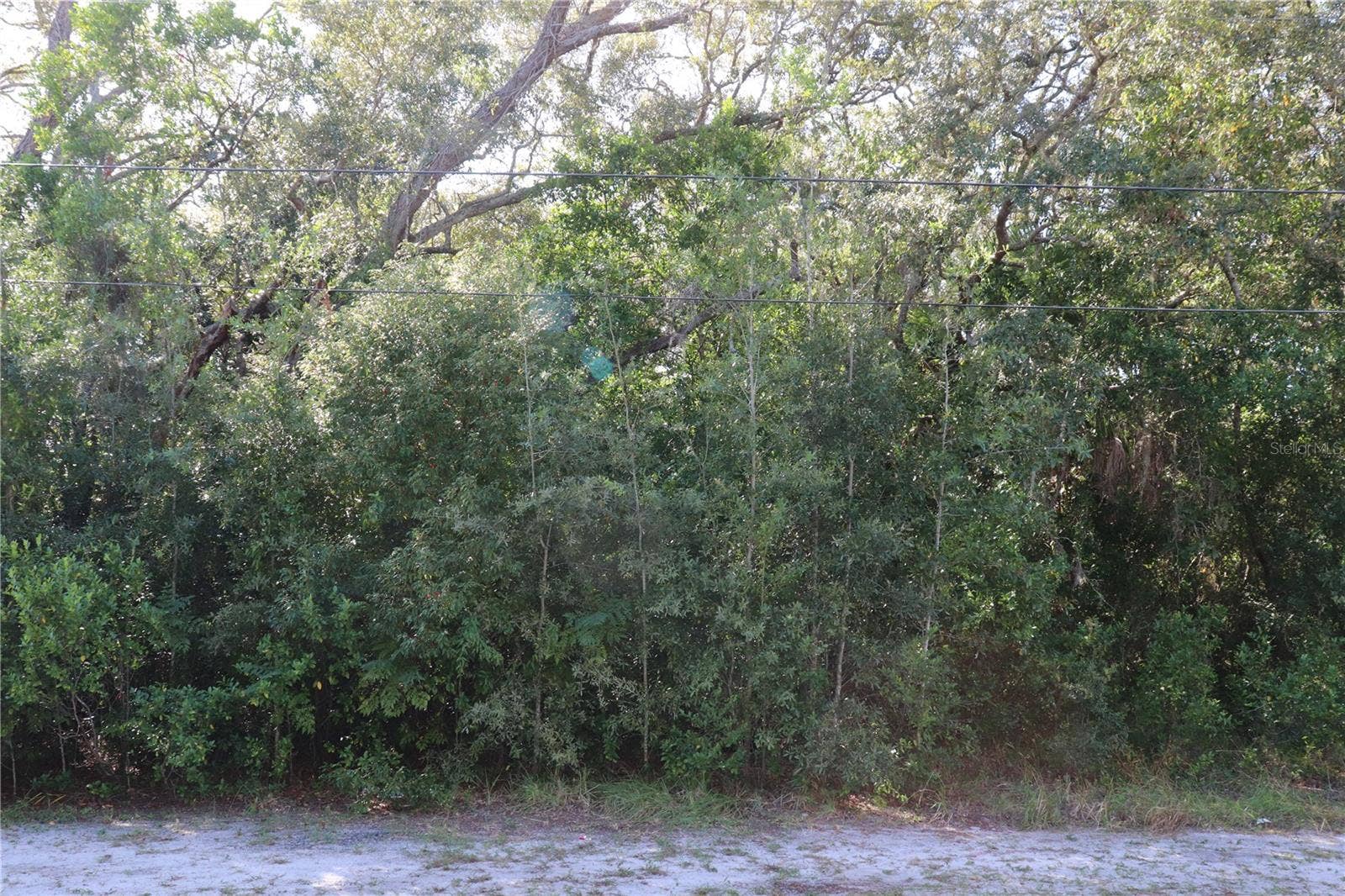 1221 SYLVIA AVENUE, Spring Hill, FL 34606 PROPERTY