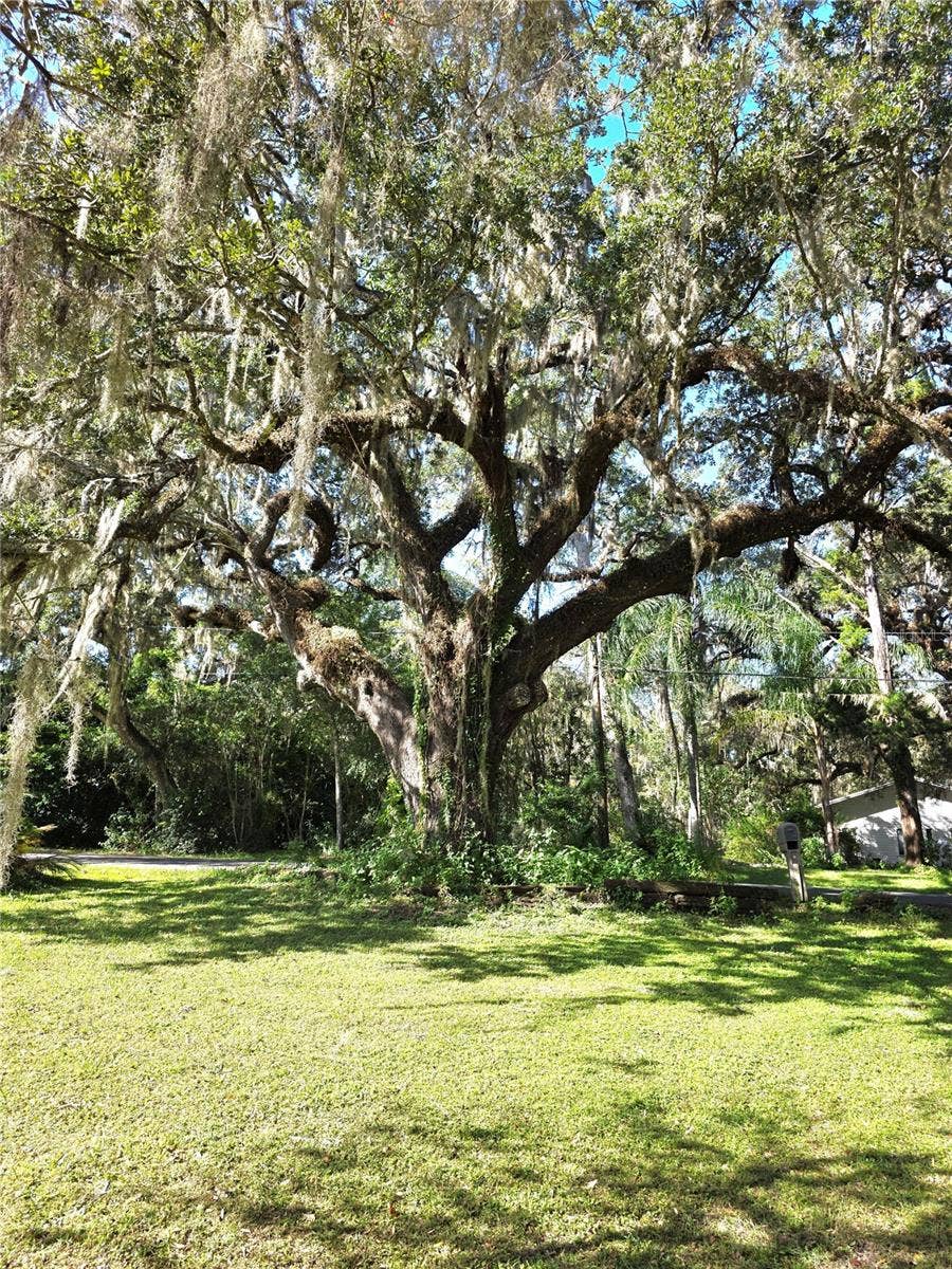 905 S MILDRED AVENUE, Brooksville, FL 34601