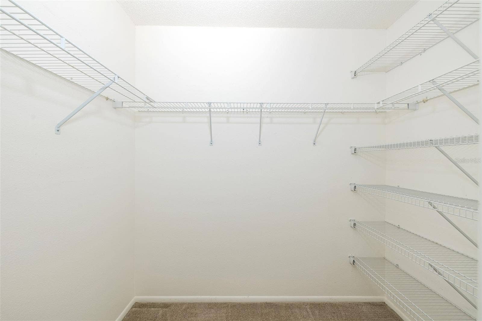 9015 WARWICK LANE, New Port Richey, FL 34655 GUEST LARGE WALK-IN CLOSET
