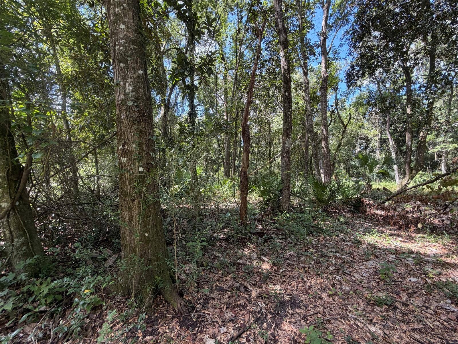 SW 25TH AVENUE, Chiefland, FL 32626 SW 25TH AVENUE, Chiefland, FL 32626