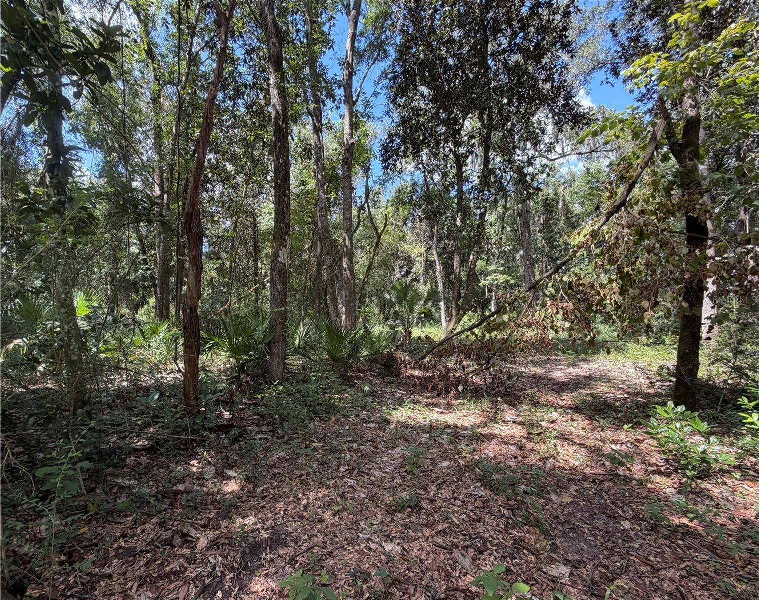 SW 25TH AVENUE, Chiefland, FL 32626 SW 25TH AVENUE, Chiefland, FL 32626