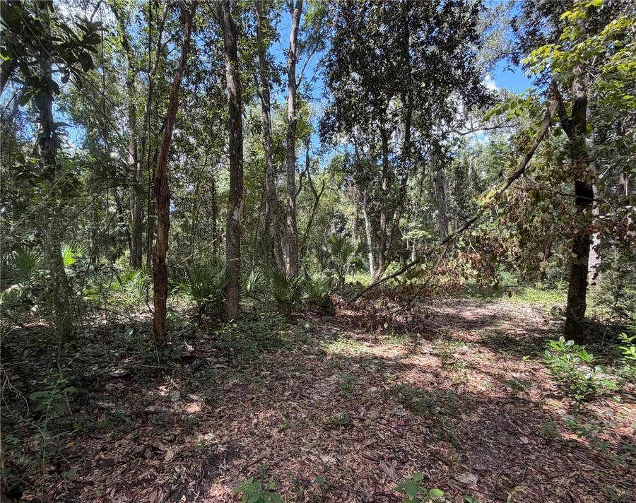 Property photo for SW 25TH AVENUE, Chiefland, FL
