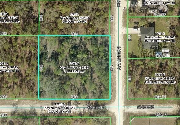 11331 SNEEZE ROAD, Weeki Wachee, FL 34614 11331 SNEEZE ROAD, Weeki Wachee, FL 34614