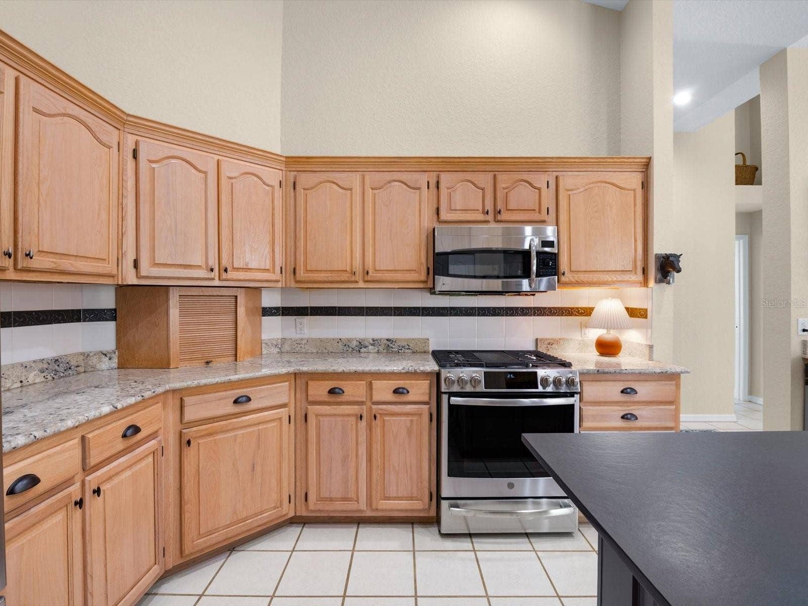 8906 SKYMASTER DRIVE, New Port Richey, FL 34654 8906 SKYMASTER DRIVE, New Port Richey, FL 34654