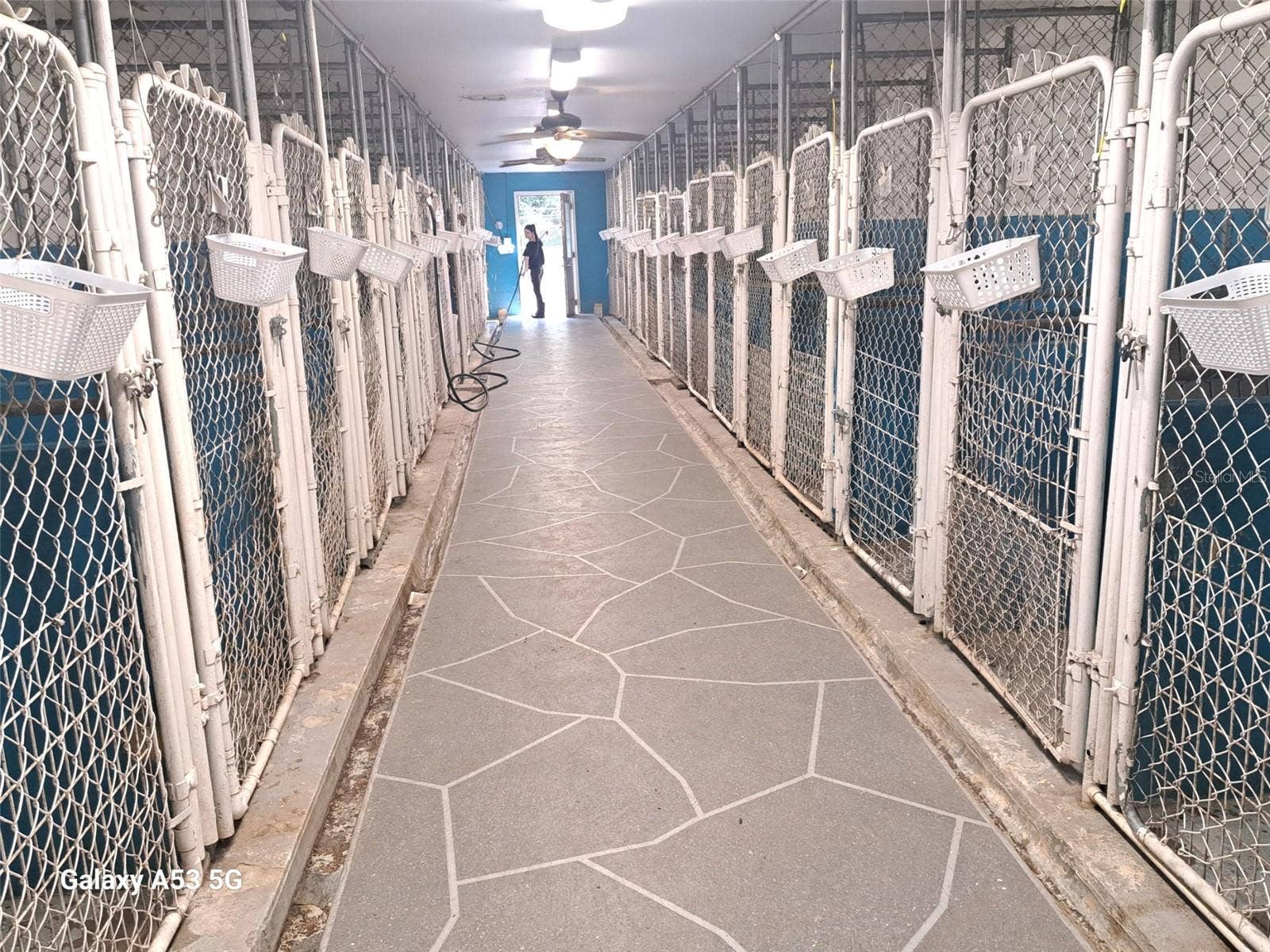 24392 LANARK ROAD, Brooksville, FL 34601 Kennels