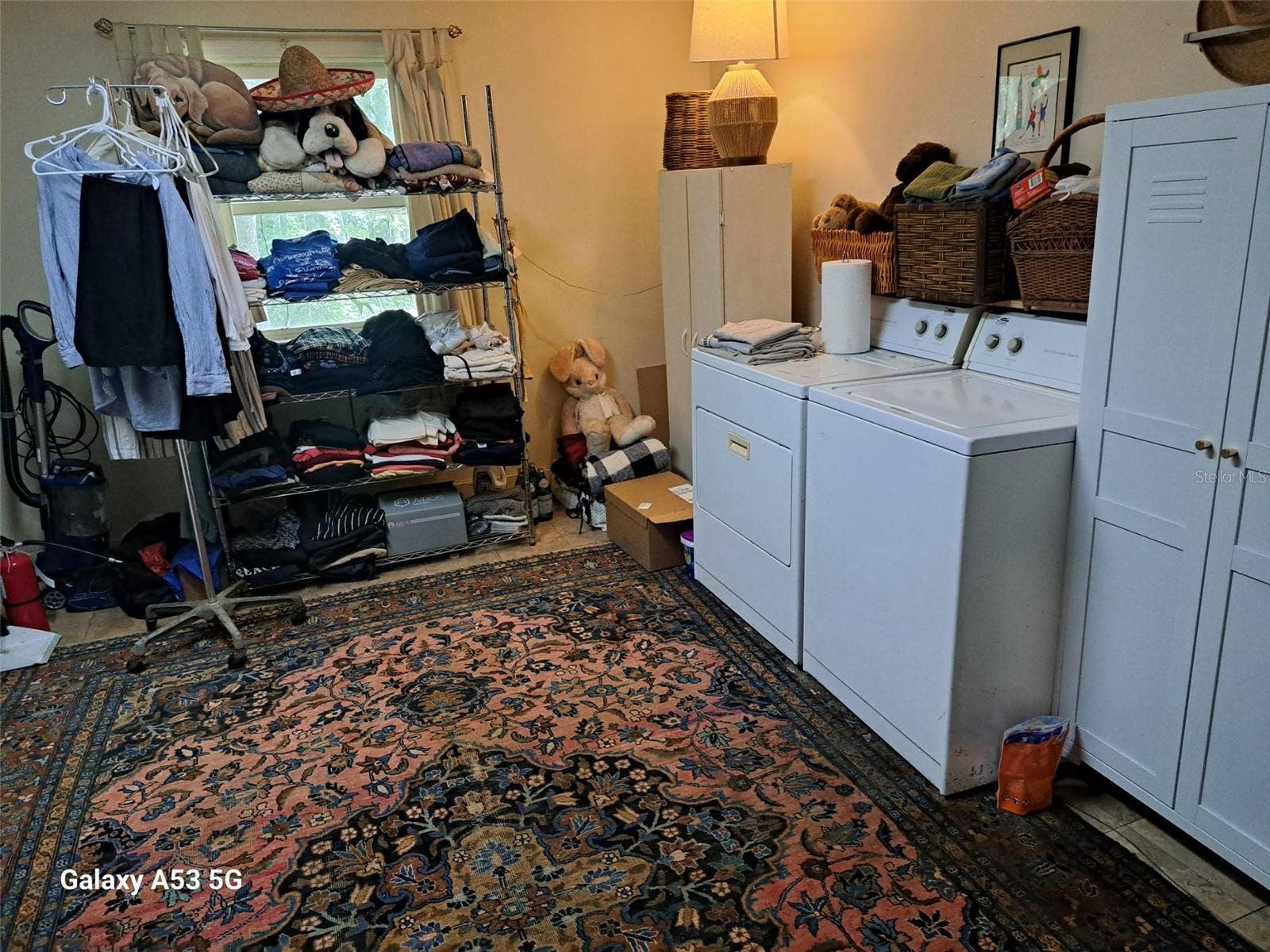 24392 LANARK ROAD, Brooksville, FL 34601 Residential Wash