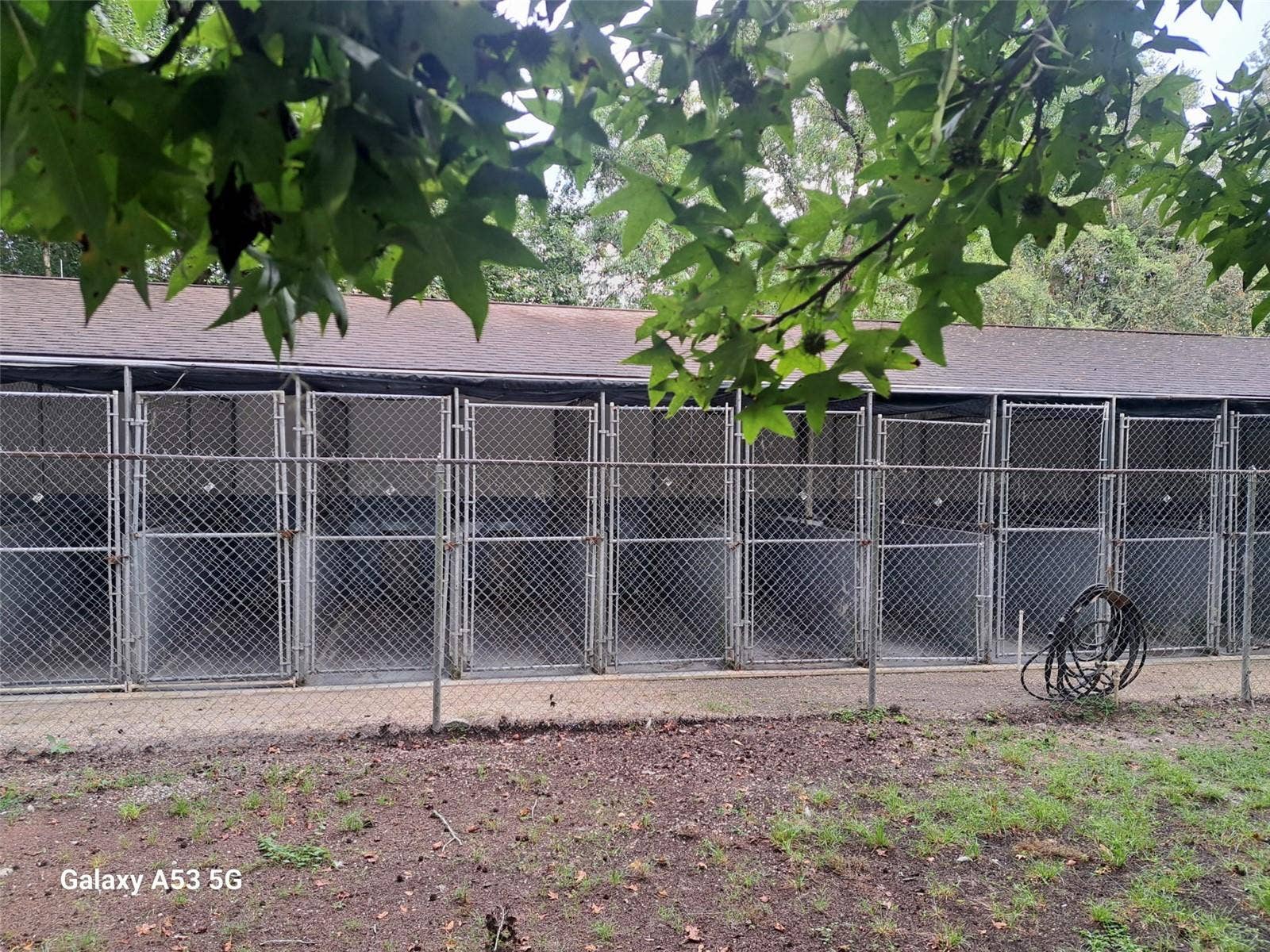 24392 LANARK ROAD, Brooksville, FL 34601 Kennels