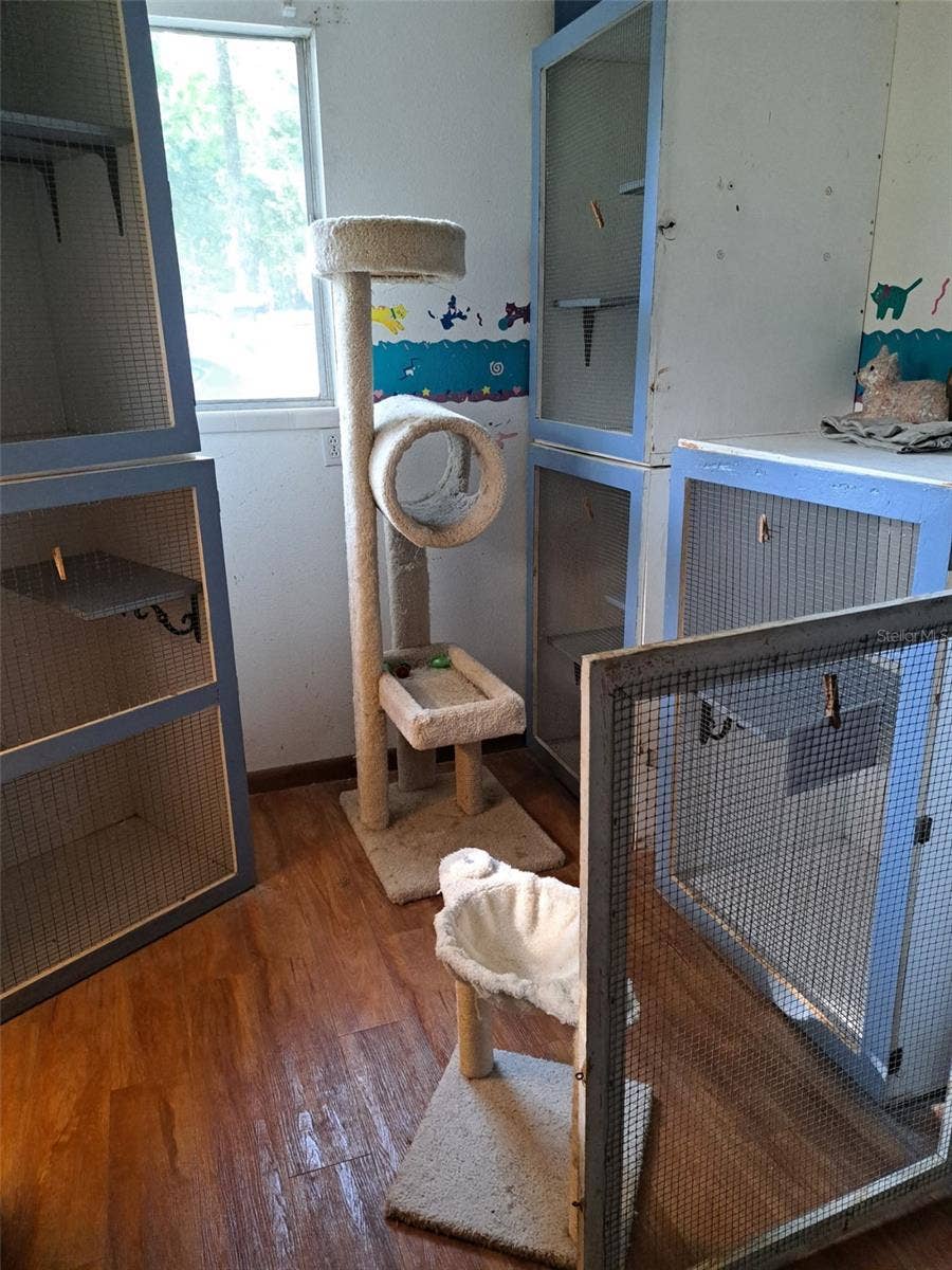 24392 LANARK ROAD, Brooksville, FL 34601 tiny paws cats