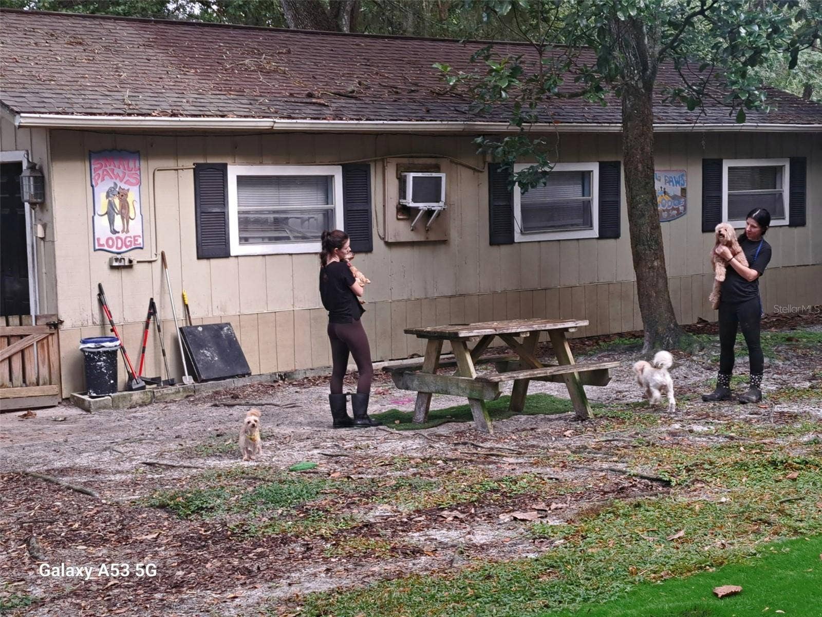 24392 LANARK ROAD, Brooksville, FL 34601 Grounds
