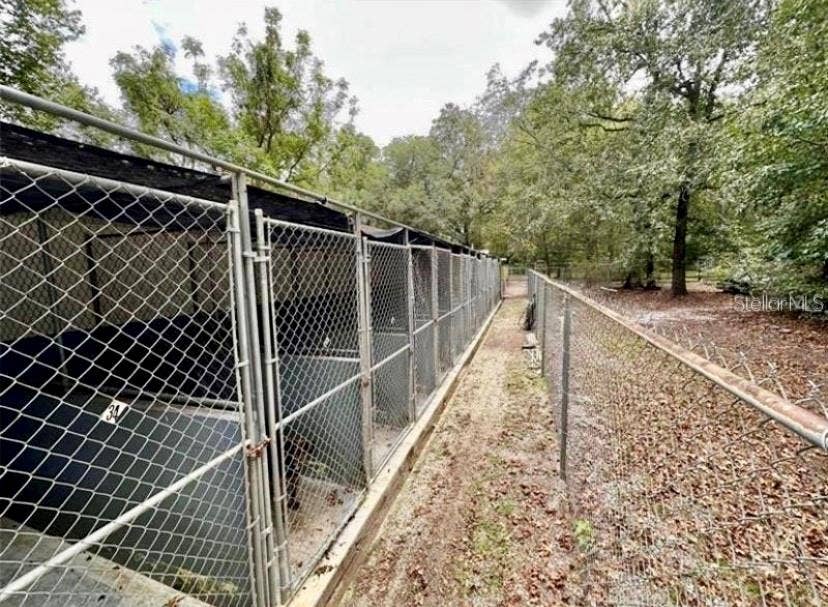 24392 LANARK ROAD, Brooksville, FL 34601 Large Dog Kennels