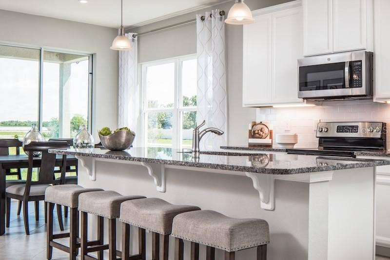 6039 WILD PETUNIA DRIVE, Wimauma, FL 33598 6039 WILD PETUNIA DRIVE, Wimauma, FL 33598
