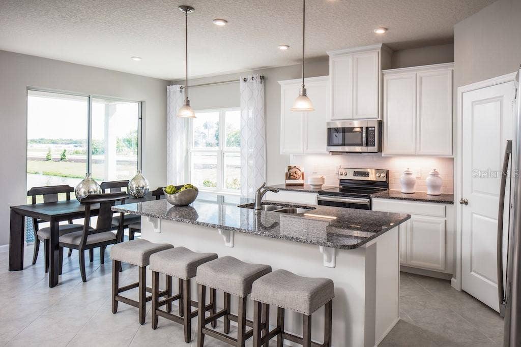 6039 WILD PETUNIA DRIVE, Wimauma, FL 33598 6039 WILD PETUNIA DRIVE, Wimauma, FL 33598
