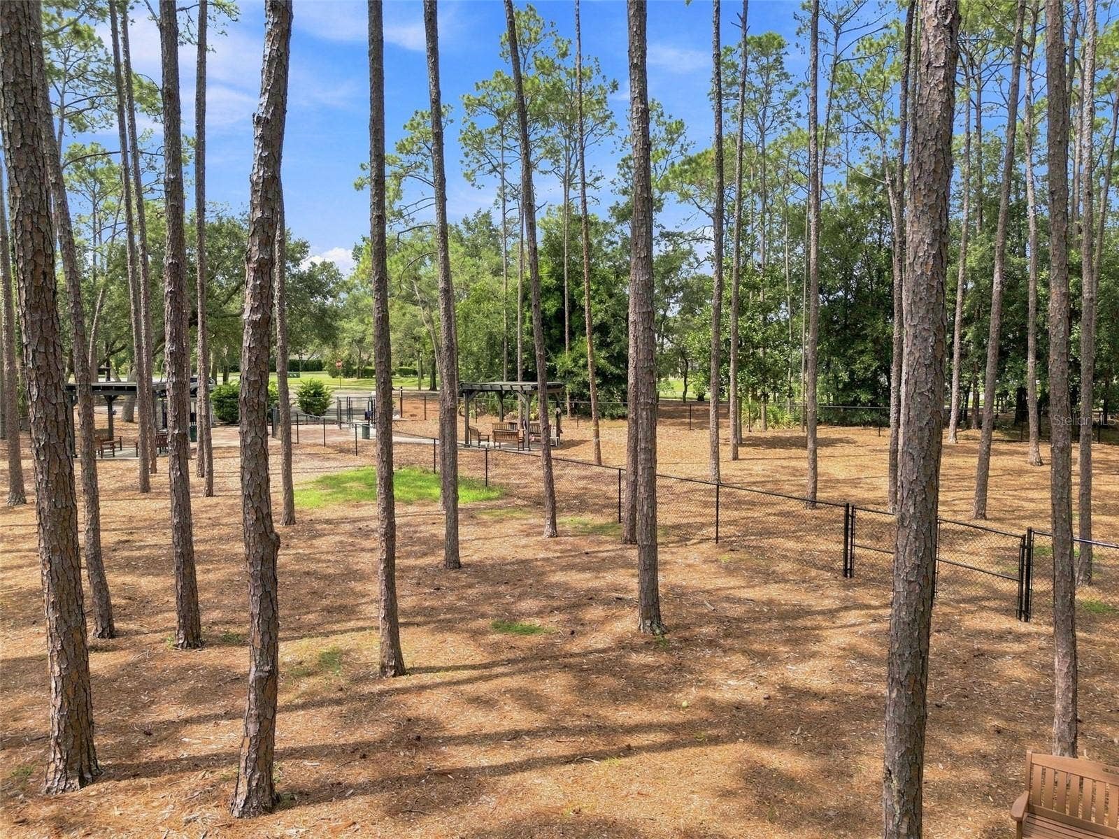 Dog Park