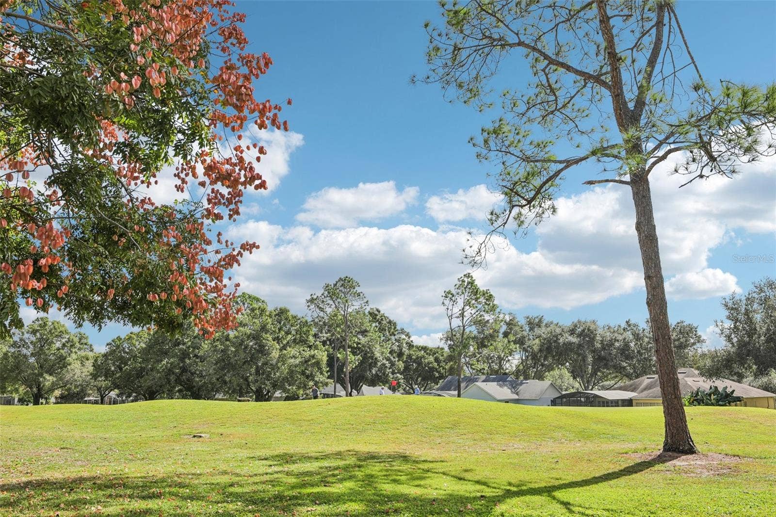 15052 GREEN VALLEY BOULEVARD, Clermont, FL 34711 15052 GREEN VALLEY BOULEVARD, Clermont, FL 34711