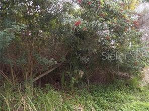 Property photo for GENEVA ROAD, Venice, FL