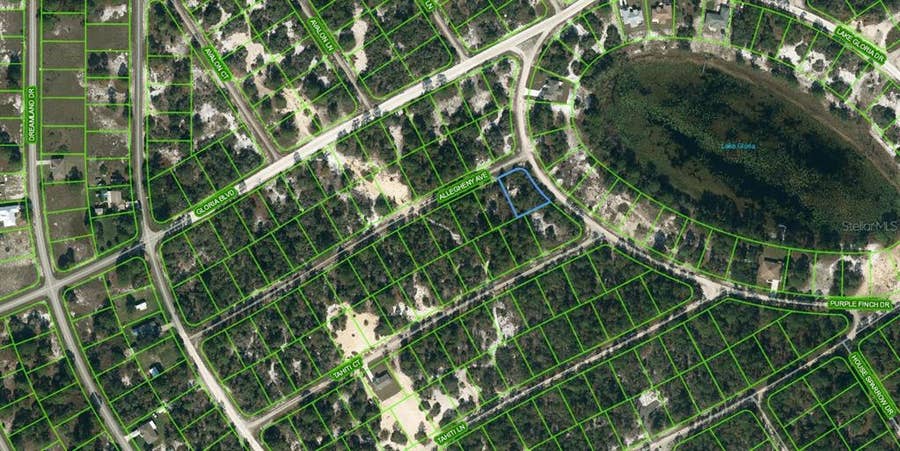 Property photo for 425 ALLEGHENY AVENUE, Lake Placid, FL