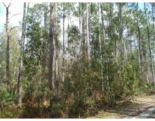 Property photo for Zephyrhills, FL