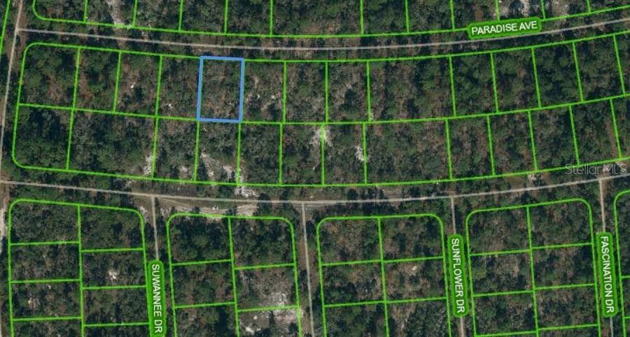 Property photo for 357 PARADISE AVENUE, Lake Placid, FL