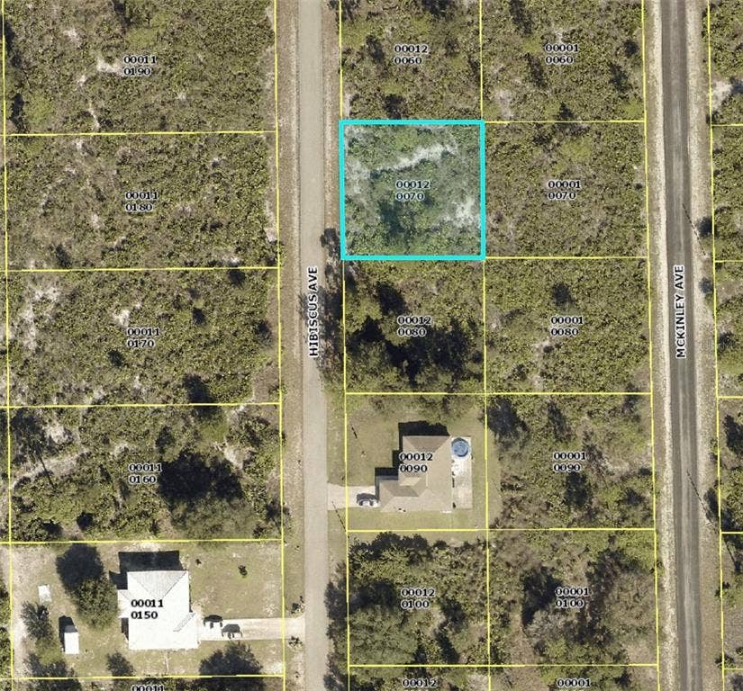 Property photo for 1610 HIBISCUS AVENUE, Lehigh Acres, FL