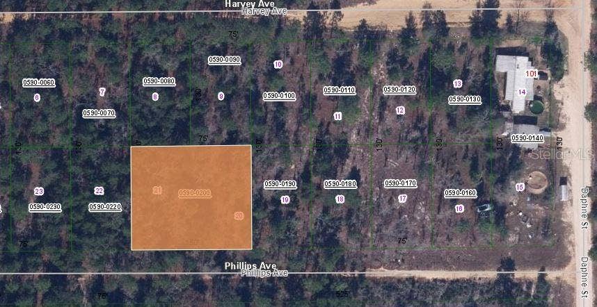 Property photo for 00 PHILLIPS AVENUE, Interlachen, FL