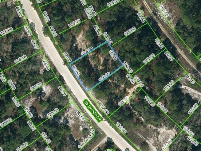 Property photo for 355 WILDWOOD DRIVE, Lake Placid, FL