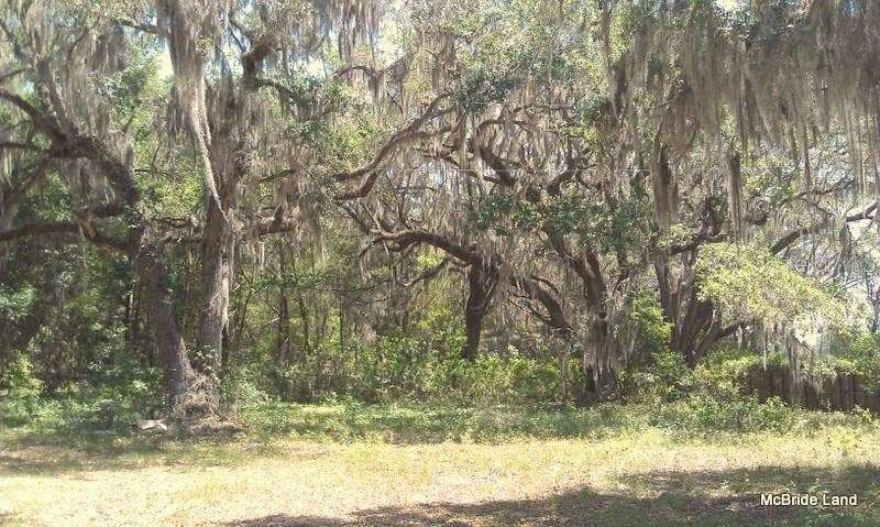 17001 SW HIGHWAY 484, Dunnellon, FL 34432 17001 SW HIGHWAY 484, Dunnellon, FL 34432