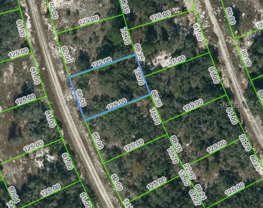 Property photo for 217 BLUE SKY DRIVE, Lake Placid, FL