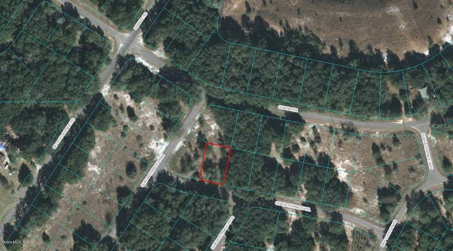 Property photo for 00 GUAVA TERRACE TRAIL, Ocklawaha, FL