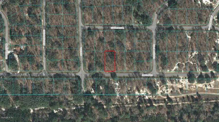 Property photo for 00 GUAVA PASS, Ocklawaha, FL
