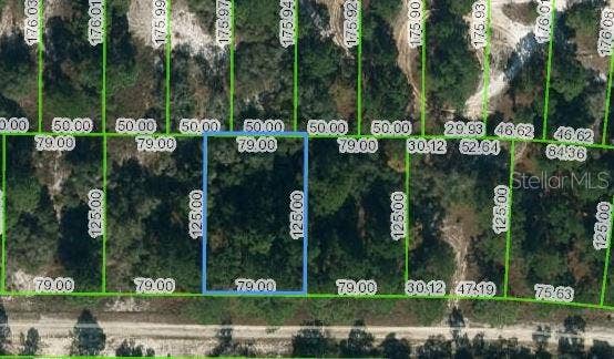 Property photo for 428 MORNINGSIDE DRIVE, Lake Placid, FL