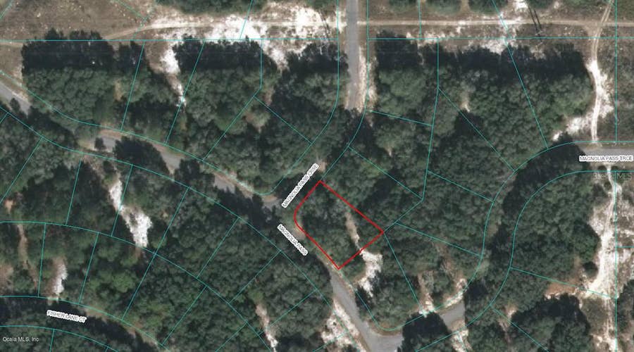 Property photo for 00 MAGNOLIA PASS COURSE, Ocklawaha, FL