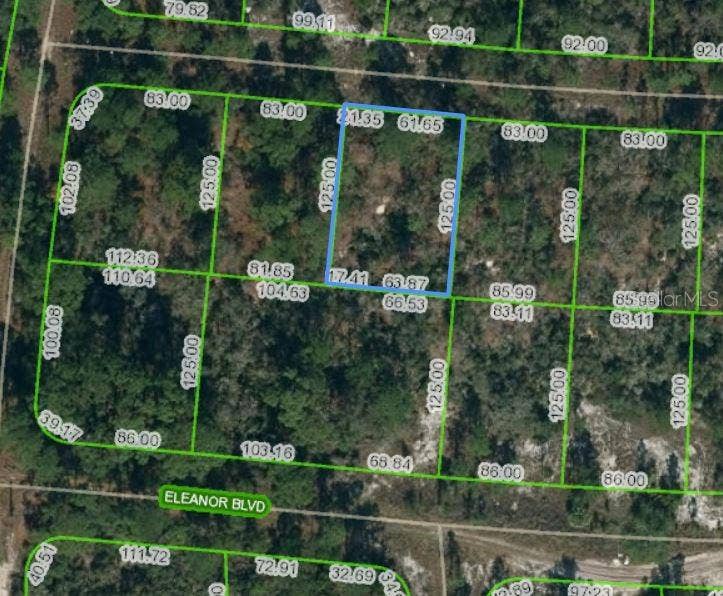 Property photo for 353 PARADISE AVENUE, Lake Placid, FL