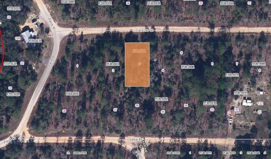 Property photo for 133 CARACAS STREET, Interlachen, FL