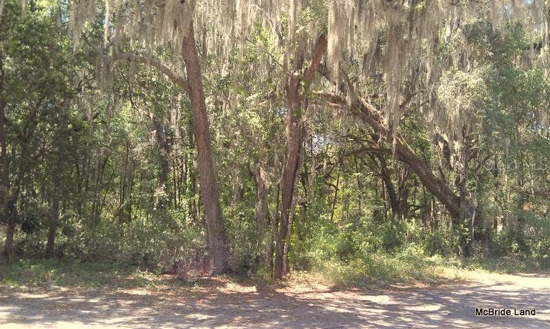 17001 SW HIGHWAY 484, Dunnellon, FL 34432 17001 SW HIGHWAY 484, Dunnellon, FL 34432